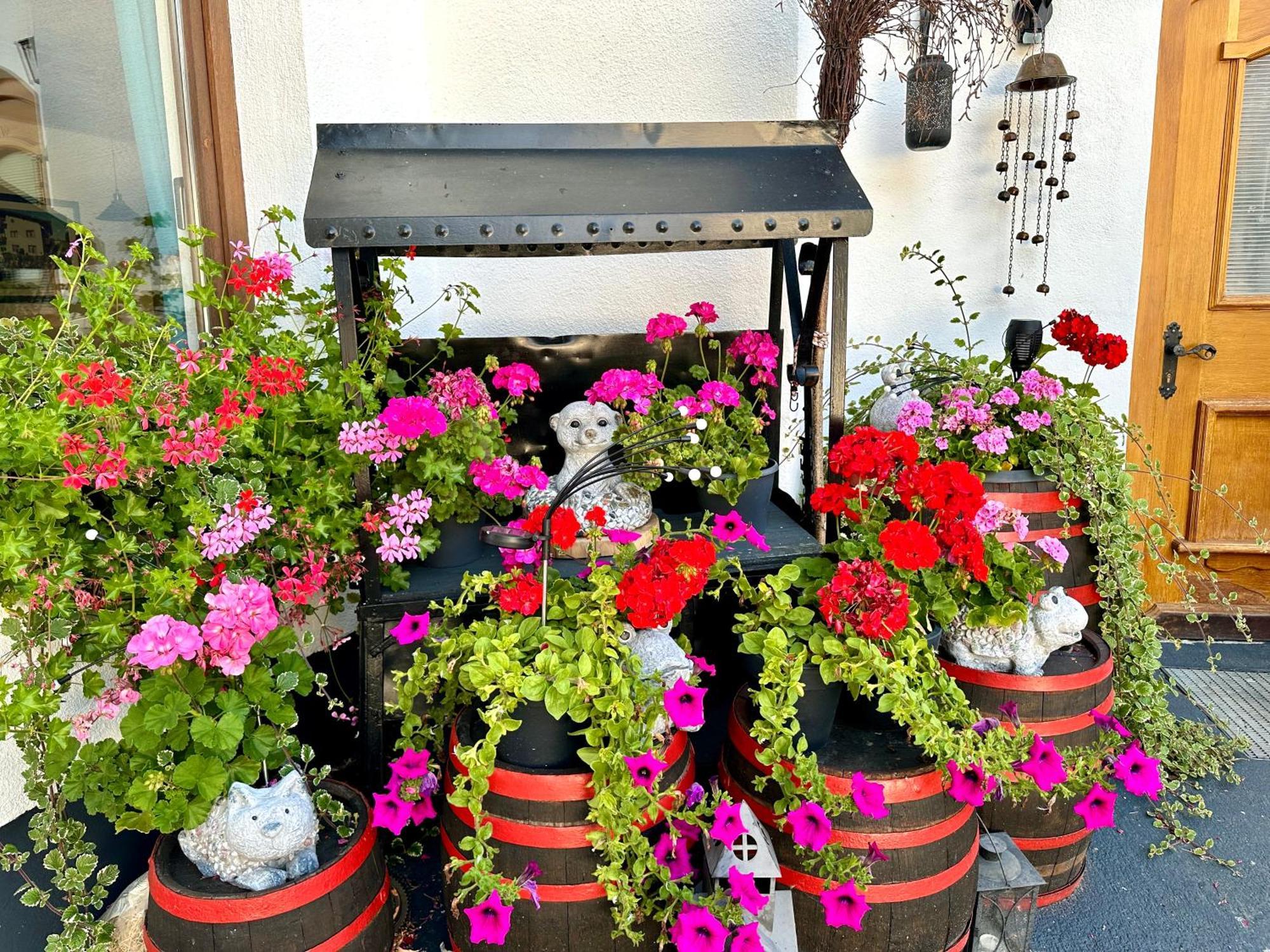 Hotel Marienhof Флис Экстерьер фото